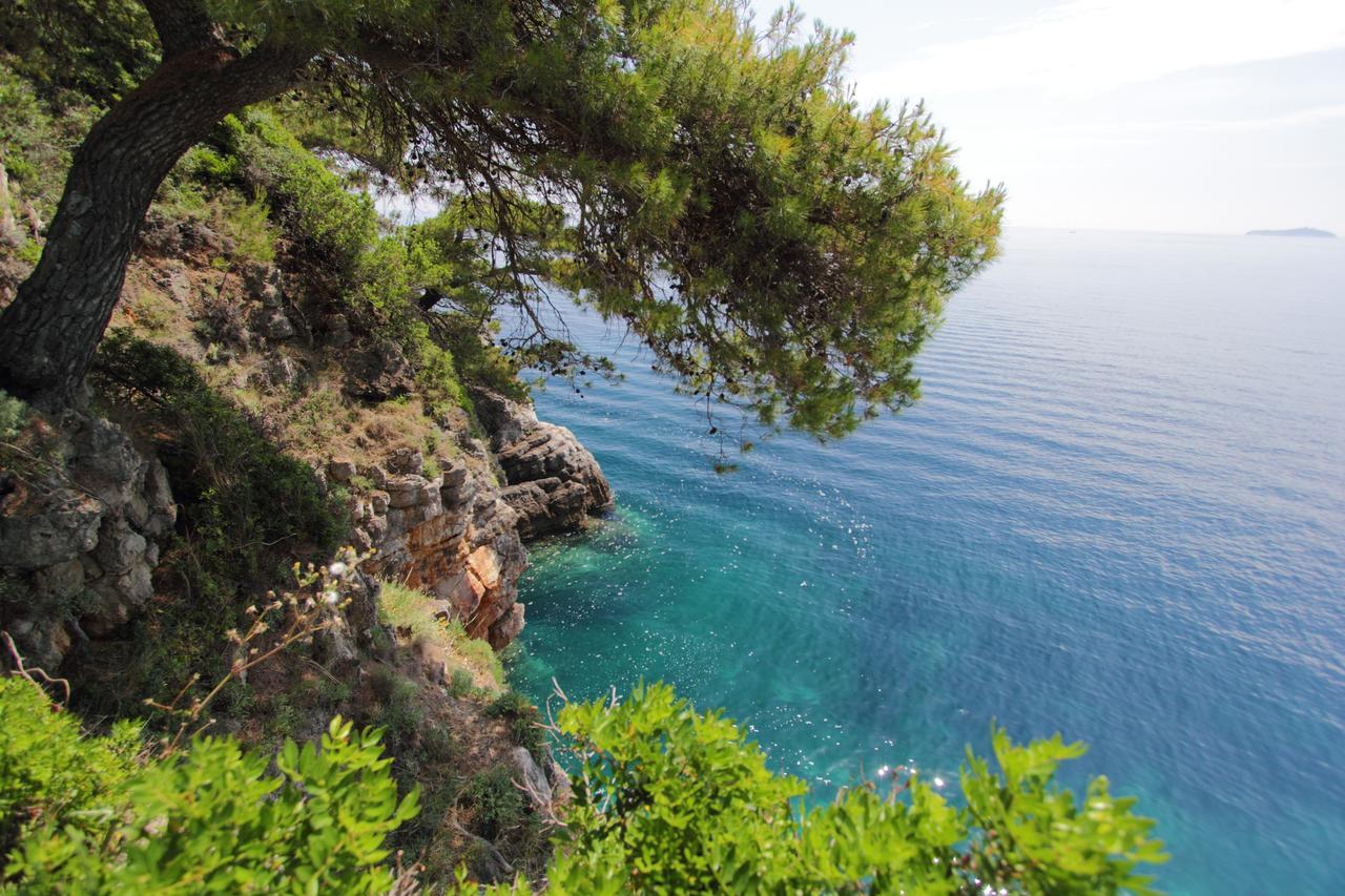 Kalamota Beach House Gornje Celo Экстерьер фото